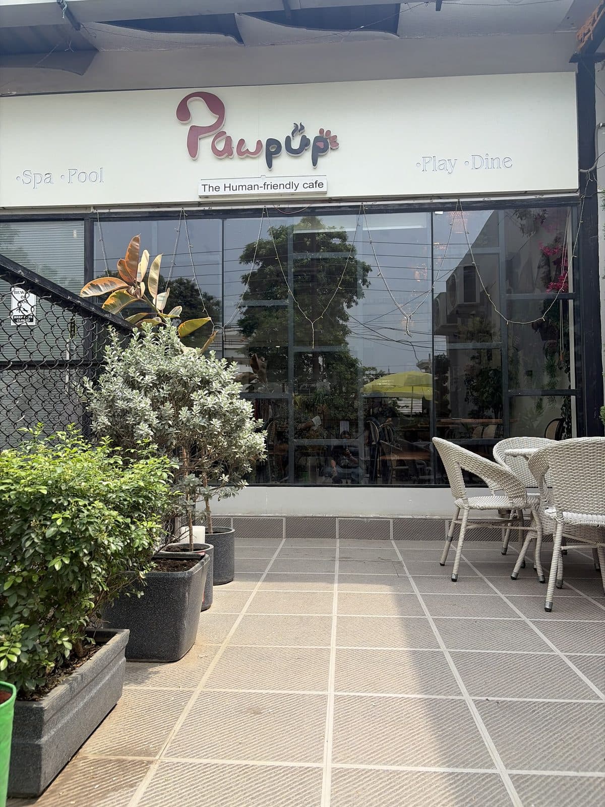 PawPup Cafe storefront in Gomti Nagar, where we offer cat grooming in Lucknow