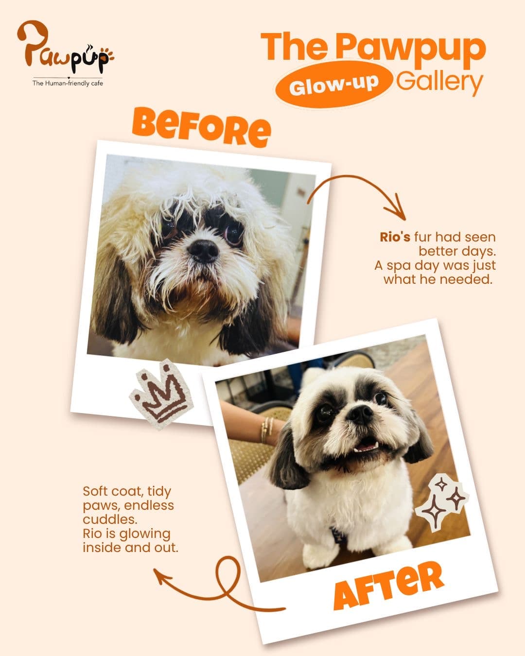 Rio before and after a groom at PawPup Cafe, Lucknow