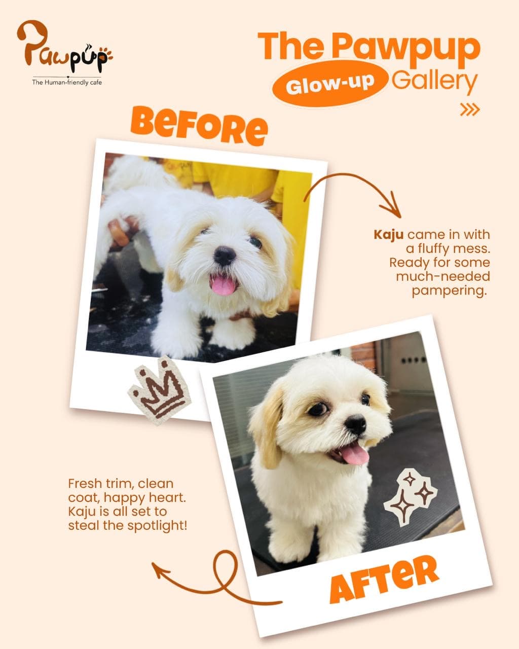 Kaju before and after a full groom at PawPup Cafe, an example of what the dog grooming price in Lucknow covers