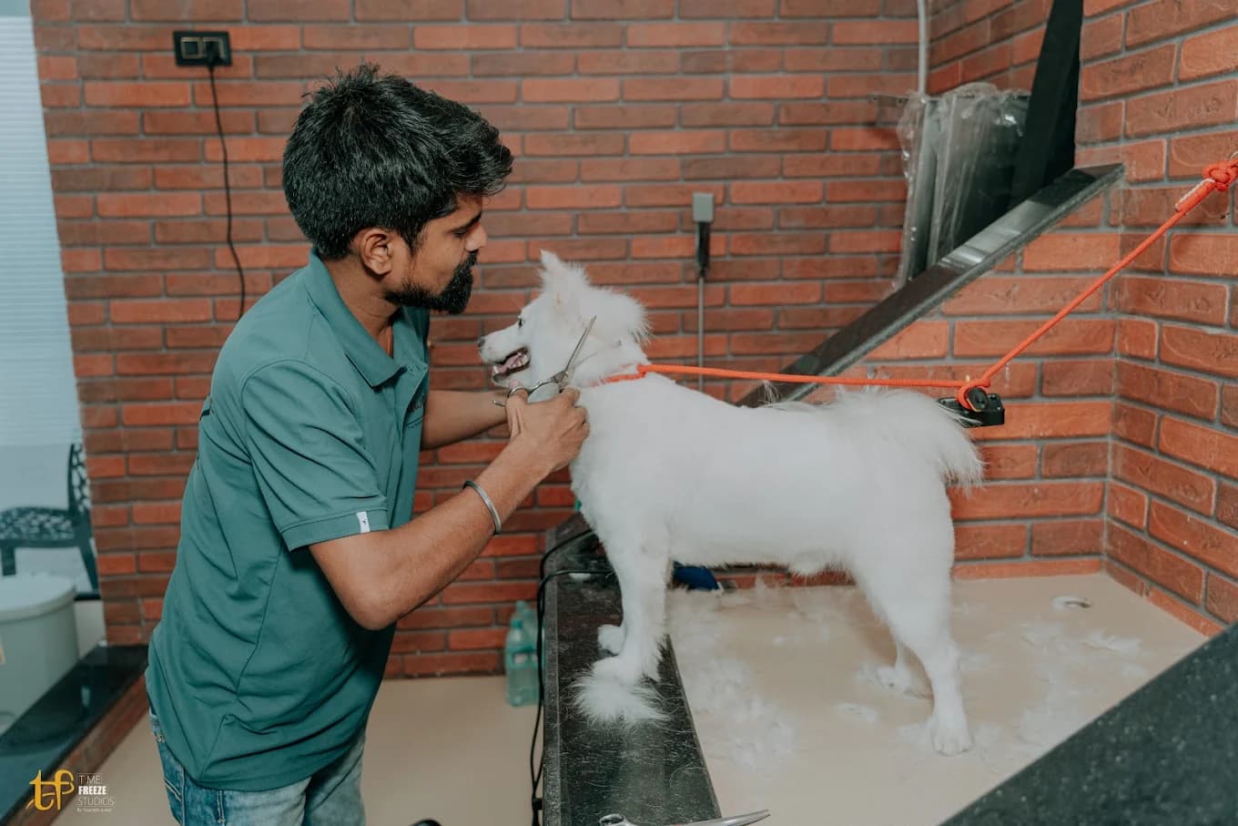 A groomer trimming a fluffy white dog's coat at the PawPup Cafe grooming studio