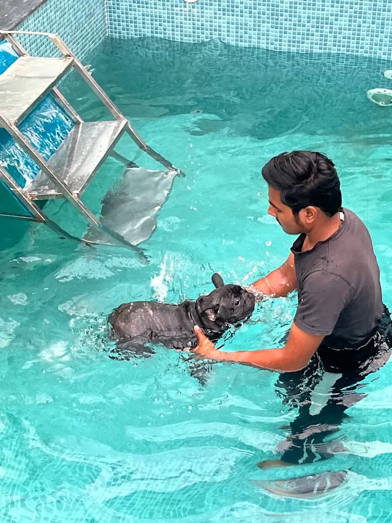 PawPup Cafe staff member playing with a puppy by the pool steps, a gentle way to settle in before a puppy first grooming