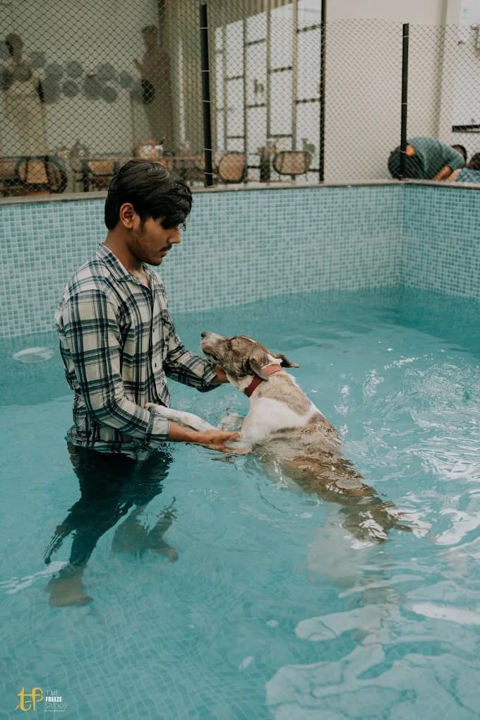 Staff member holding a dog's paws while it swims in the pool, a reason to dry the ears afterwards