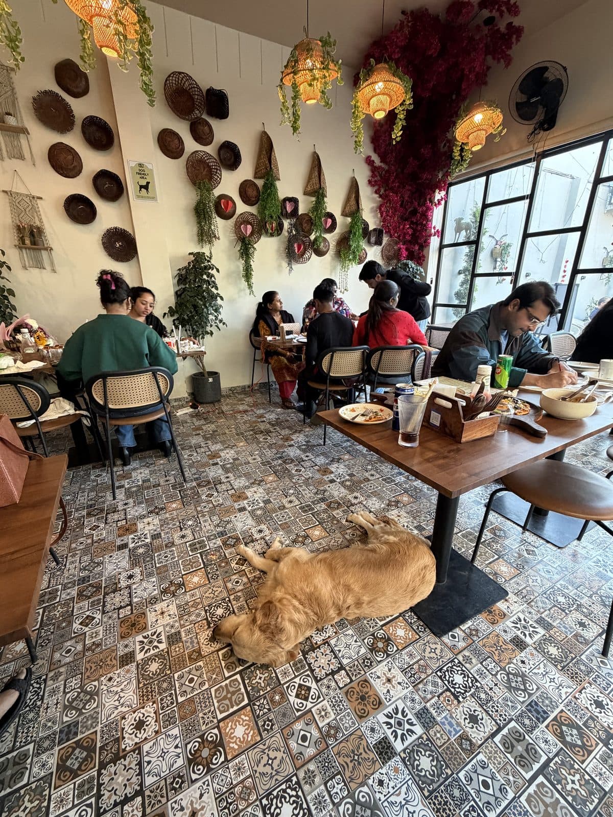 A dog relaxing next to diners under a Pet Friendly Area sign at PawPup Cafe, Lucknow