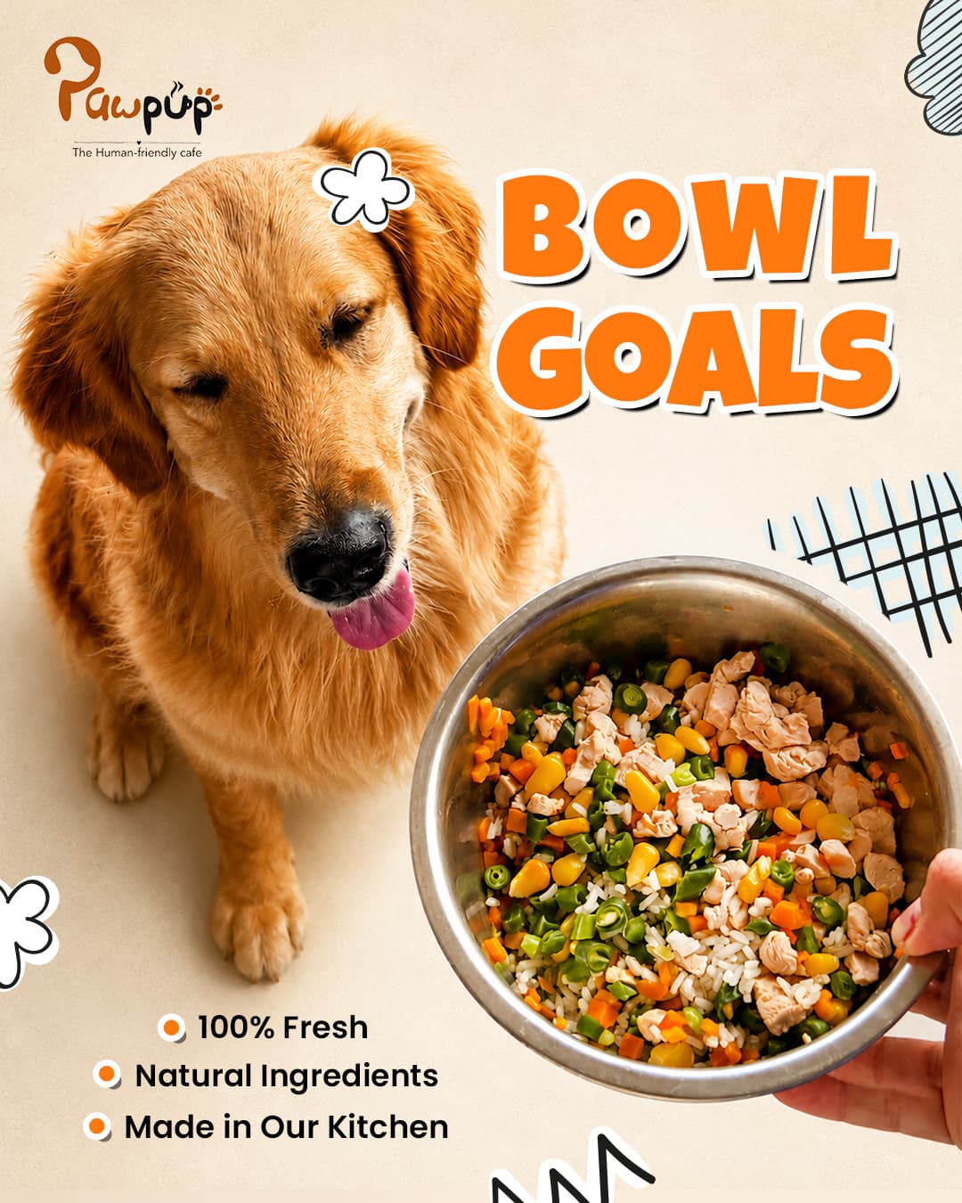 Fresh dog food in Lucknow: a golden retriever with a bowl of chicken, rice and veggies