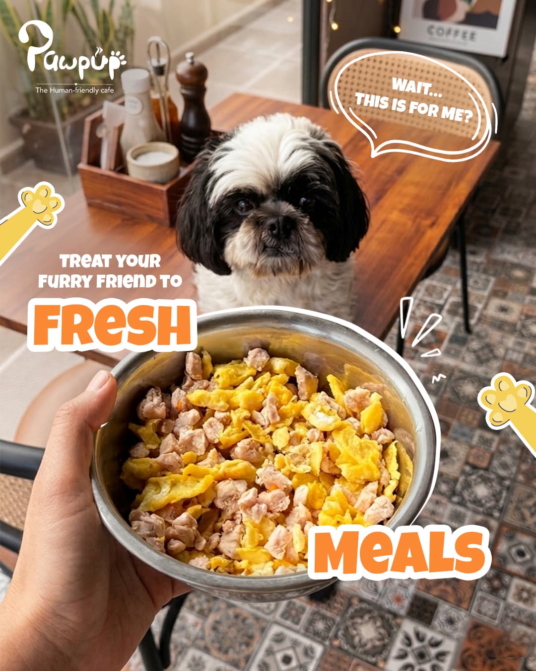 A dog waiting at a cafe table for its meal at PawPup Cafe