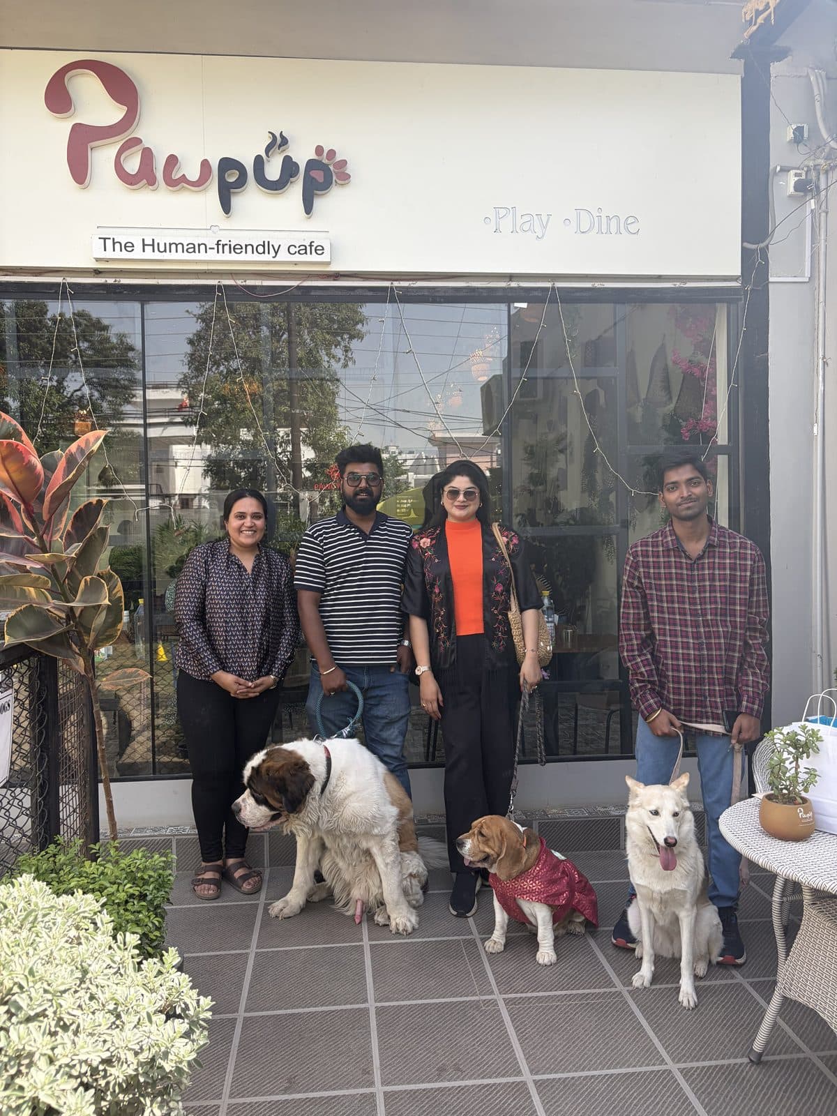 Dogs and their pet parents at a playdate outside PawPup Cafe
